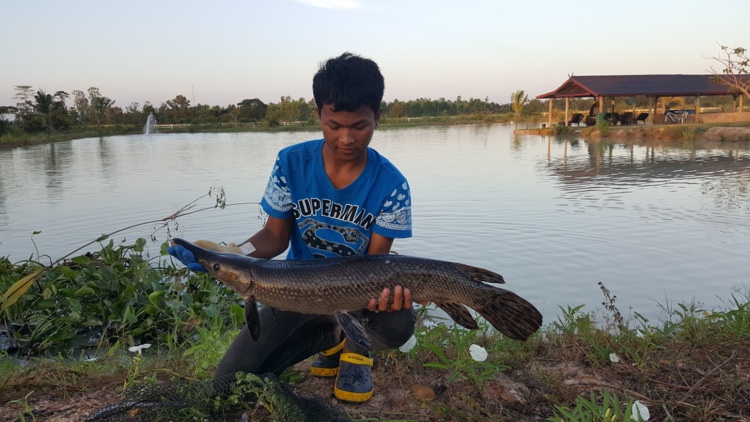 fishing-park-lake-udon-thani