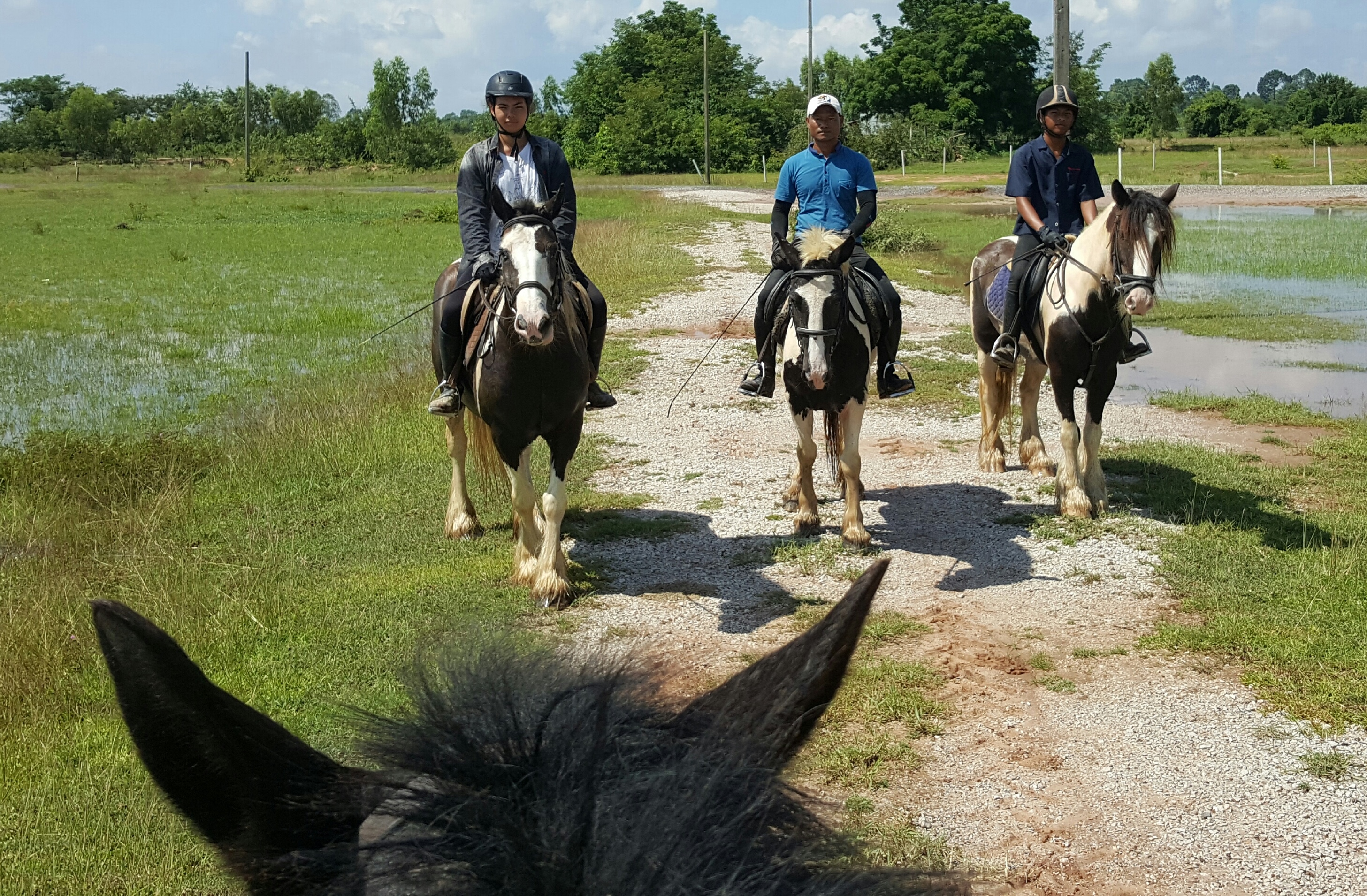 Trail-Riding-Gyspy-Cobs-Udon-Thani-Thailand
