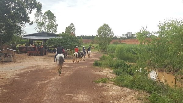 ride-horse-thailand-trail