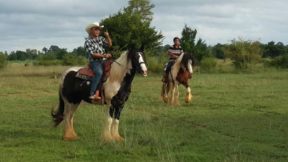 western-horse-riding-thailand