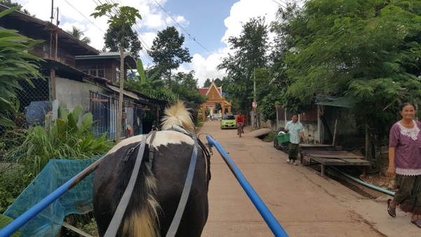 horse-and-cart-thailand