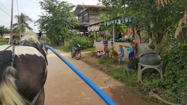 sulky-cart-trotting-horse-thailand