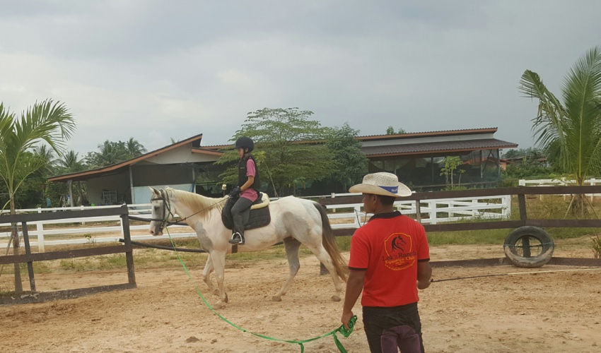 horse-riding-lessons-thailand
