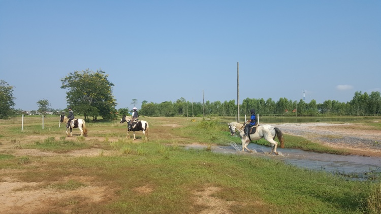 trail-ride-horse-riding-udon-thani-3
