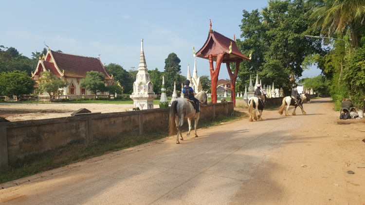 trail-ride-horse-riding-udon-thani-5