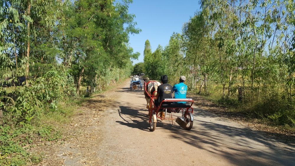 horse-and-carriage-cart-sulky-ride-udon-thani-thailand